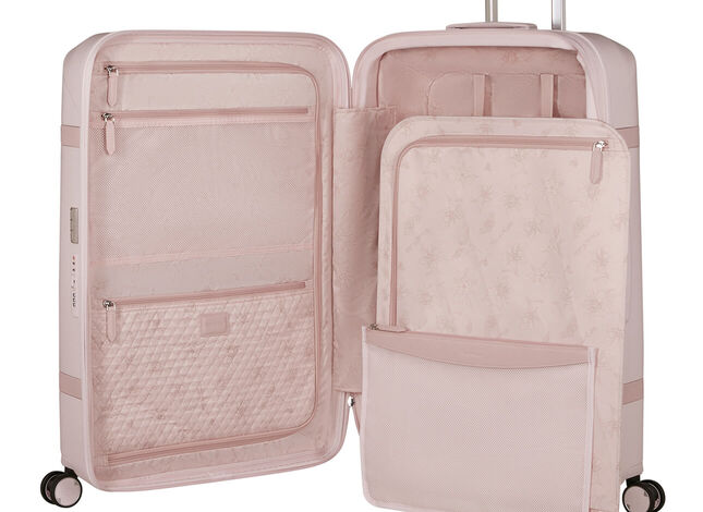 Organizzazione interna