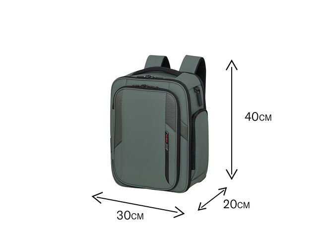 Gratuitamente a bordo di Ryanair