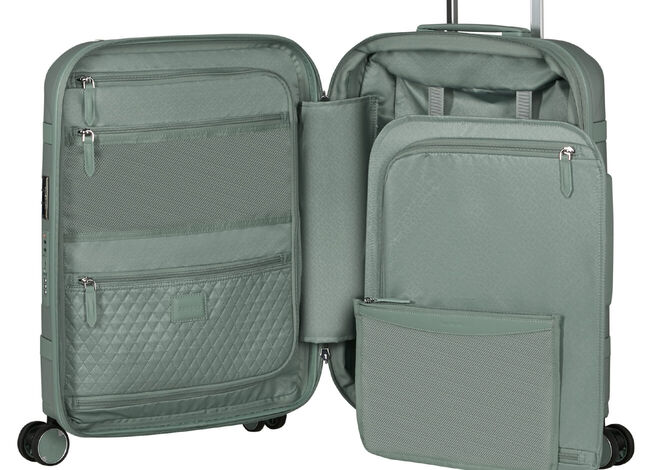 Organizzazione interna