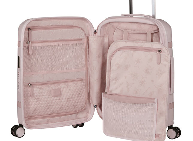 Organizzazione interna