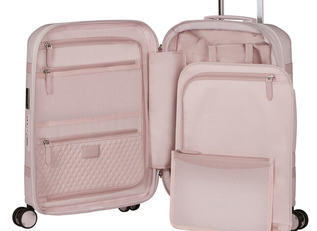 Organizzazione interna