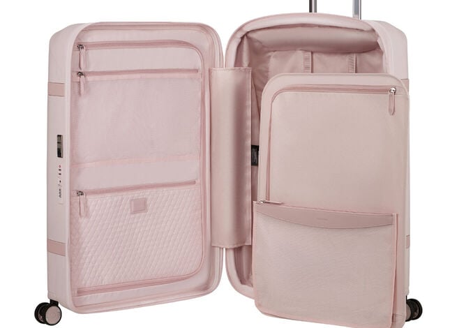 Organizzazione interna