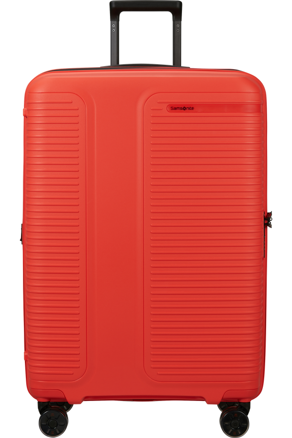 Prodiver Trolley espandibile (4 ruote) 75cm